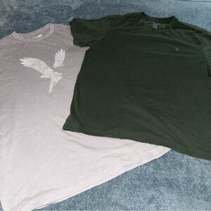 Pair of American Eagle Outfitters Short Sleeve Tees Green and Gray Size Medium